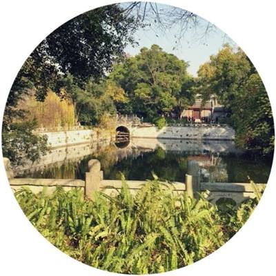 致命战街头霸王官方版下载